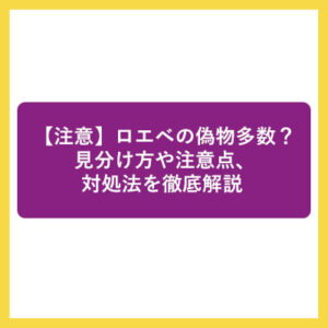 【注意】ロエベの偽物多数？見分け方や注意点、対処法を徹底解説